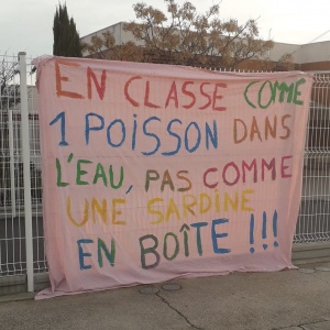 Photo de profil Facebook des Amis de Frontregeire, école Maris Louise Dumas, de Marseillan, le 13/02/19.)