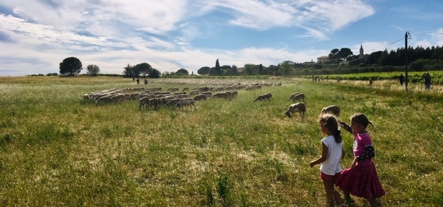 Pays Cœur d’Hérault. Un appel à idées citoyennes autour de la transition écologique