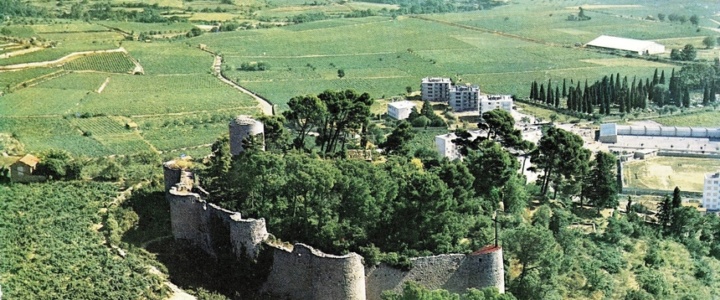 Au fil de l’eau : Archives et archéologie comme mémoire du territoire en Coeur d’Hérault