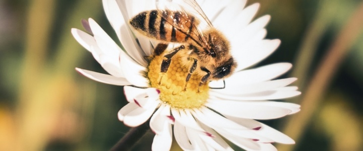 EN AVANT TOUTE ! Amour, santé, beauté – nature et naturel