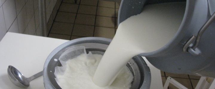 Regards sur la gastronomie : parcours d’un fromage de chèvre