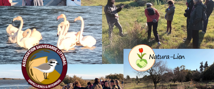 L’Eau A la Bouche – Histoires de flamants pas si roses et découverte d’un jardin oasis