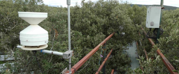 Climat. Au cœur de la station expérimentale de Puéchabon