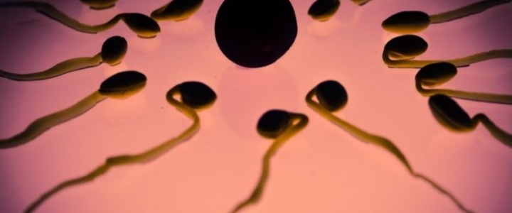 Les Nouveaux Sauvages – Contraceptions féminines ou masculines ?