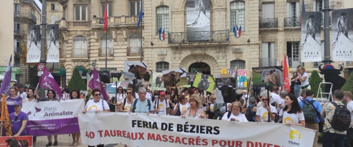 Béziers. La Féria, ce catalyseur du débat sur la corrida