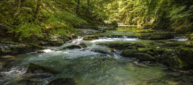 En Vie à Béziers, l’émission – Dossier “Voyage au cœur des rivières”