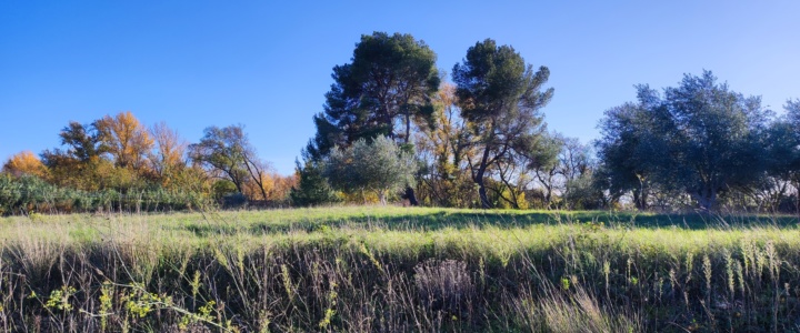 La Vallée de l’Hérault fête le bilan de son atlas de la biodiversité