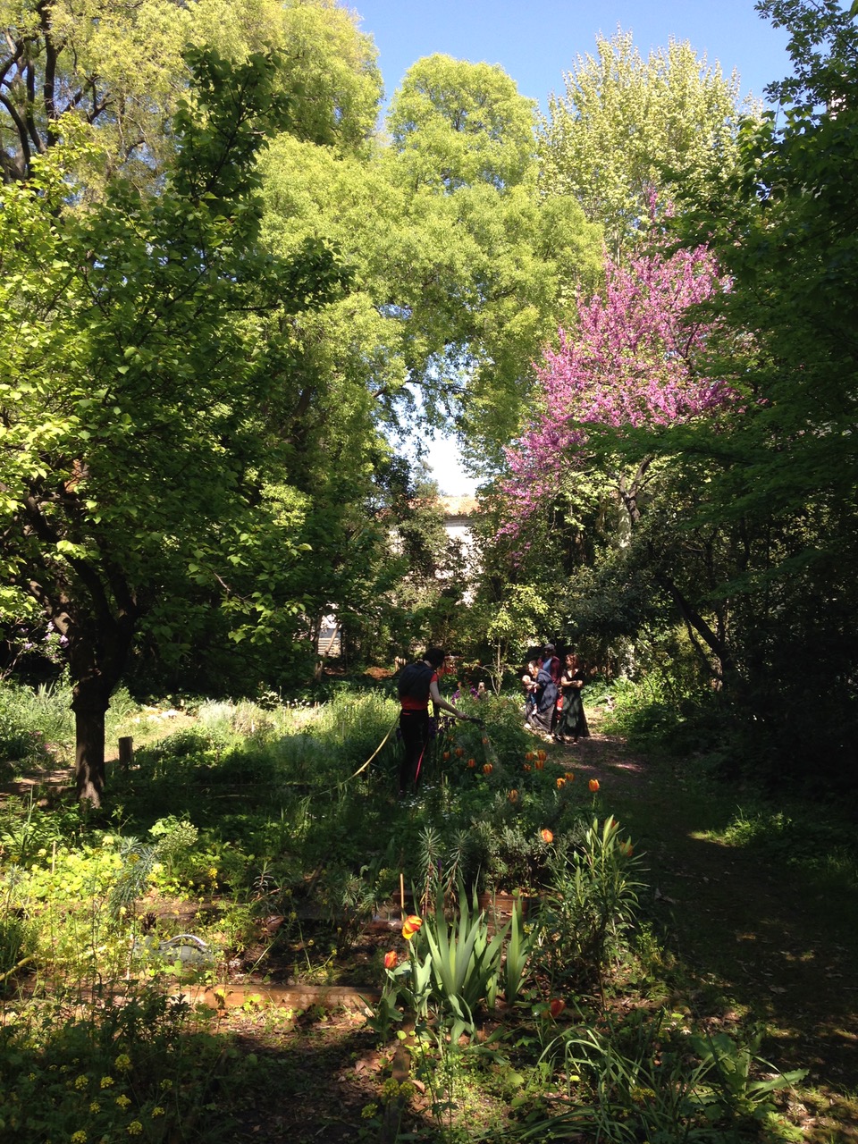 Jardin de la Reine Montpellier Rph