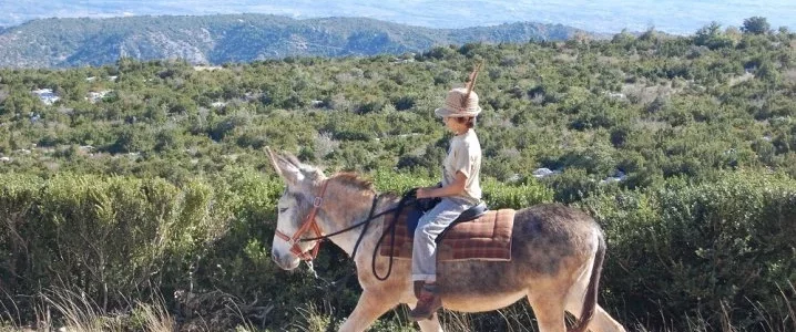 Territoire en mouvement – Lancement de la saison touristique dans le Lodevois Larzac