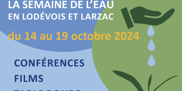 Agroforesterie : préserver la ressource en eau