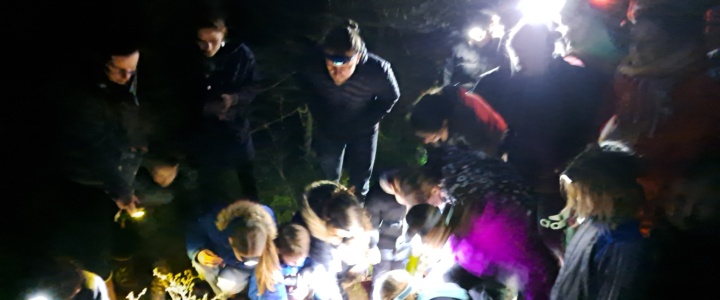 Observation nocturne de batraciens sur l’aire terrestre éducative de Pouzols