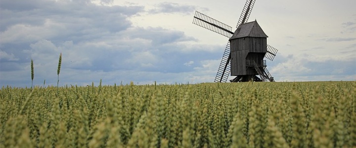 La chichoumeille de résistance – Les rivalités internationales comme moteur de l’histoire de l’agriculture 3/3