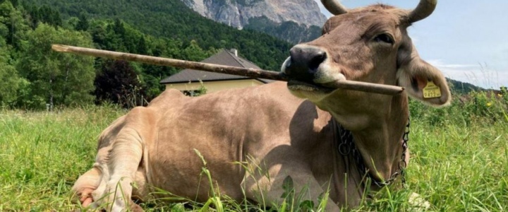 Vivre la nuit – Crève positive