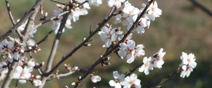 Fevrier: le mois le plus court et le plus méchant