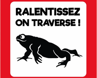 Vivre ici – Des actions pour sauver les amphibiens du territoire