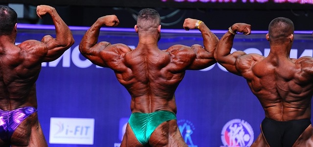 Les préservatifs de la pensée –  De quoi le culturisme est-il le signe?