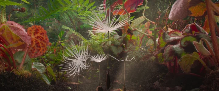 Cinérama – Interviews pour Planètes et Little Trouble Girls