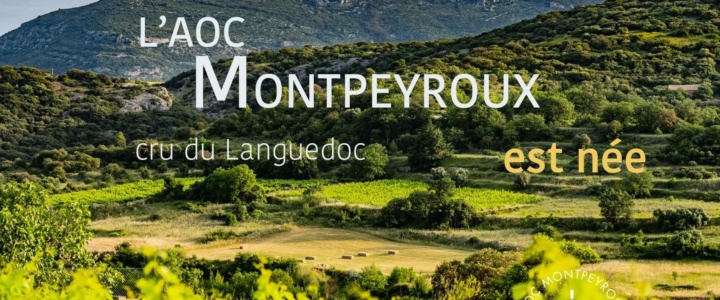 Vivre Ici : Lancement Officiel de l&rsquo; AOC MONTPEYROUX
