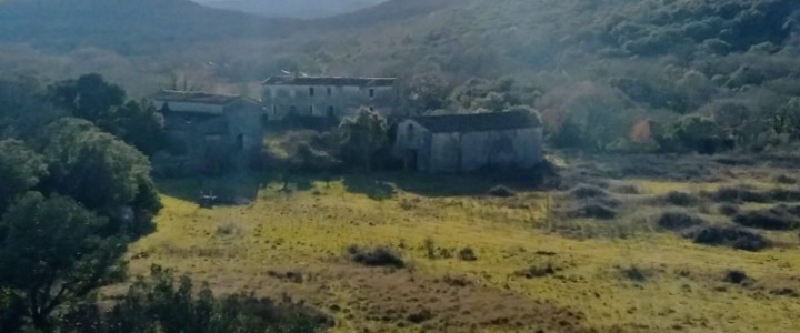 Goupil Connexion, 30 ans à retisser des liens entre les vivants humains et non-humains