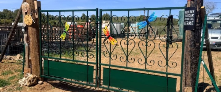 Vivre ici – Le Jardin des Libellules à Villeveyrac